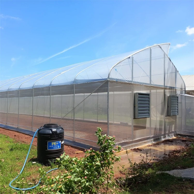 6 mil white plastic greenhouse film (6)
